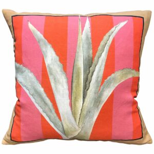 Agave Pink